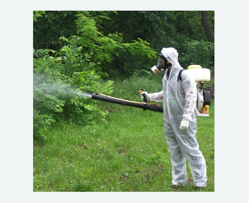 обработка территории от клещей в Чайковском