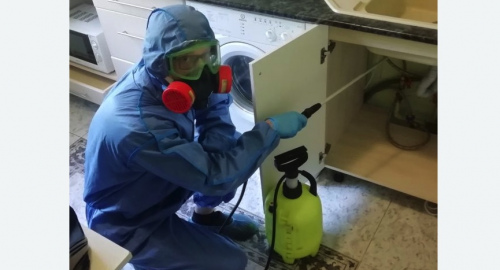 Уничтожение муравьев в квартире. Чайковский