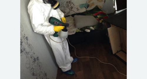 Обработка квартир от насекомых в Чайковском