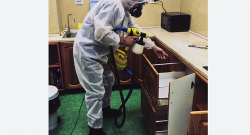 Дезинсекция квартиры. Чайковский