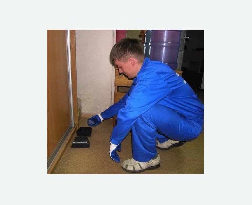 Дератизация крыс в Чайковском