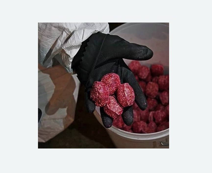 Обработка от крыс в Чайковском