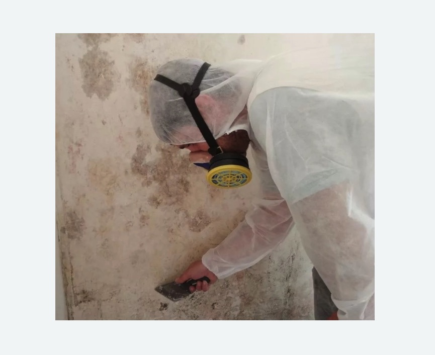 Обработка стен от плесени в Чайковском