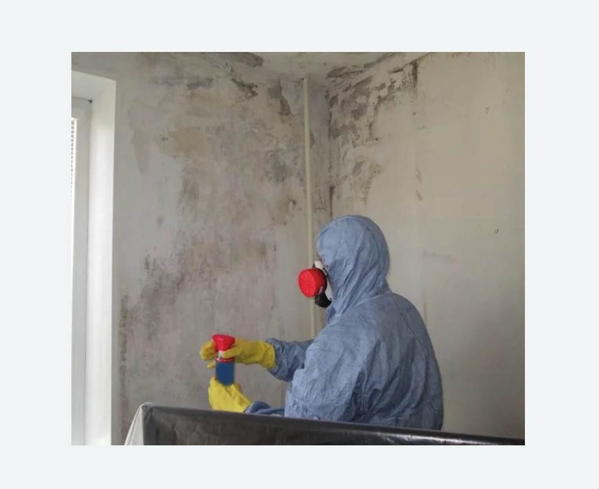 Удаление плесени в квартире в Чайковском