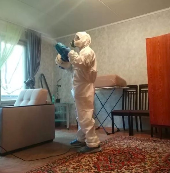 дезинсекция квартиры в Чайковском
