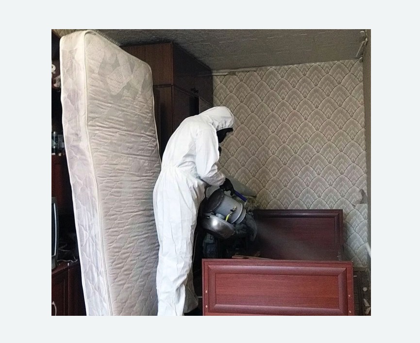 дезинфекция от клопов в Чайковском