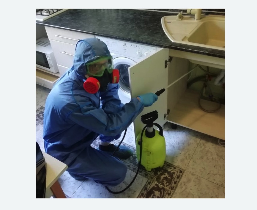 обработка от муравьев в квартире в Чайковском