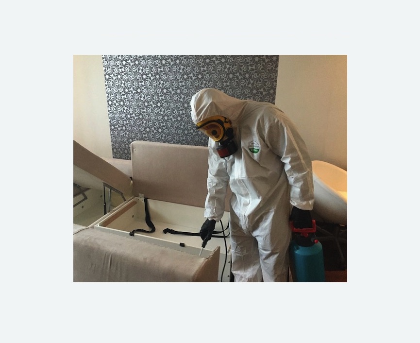 уничтожение клопов в квартире в Чайковском