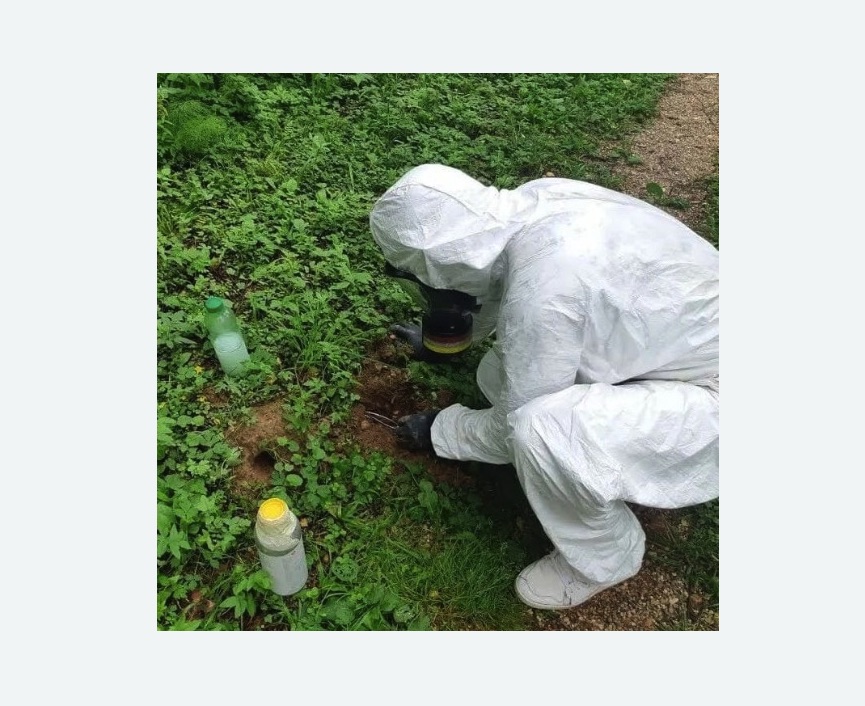 уничтожение кротов на участке в Чайковском