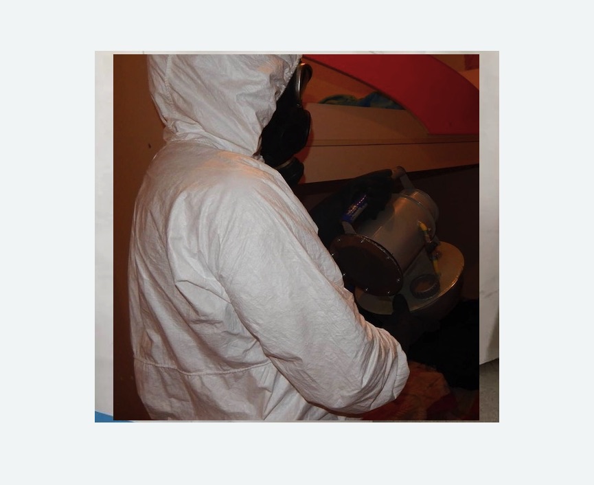 Дезинфекция от муравьев в Чайковском