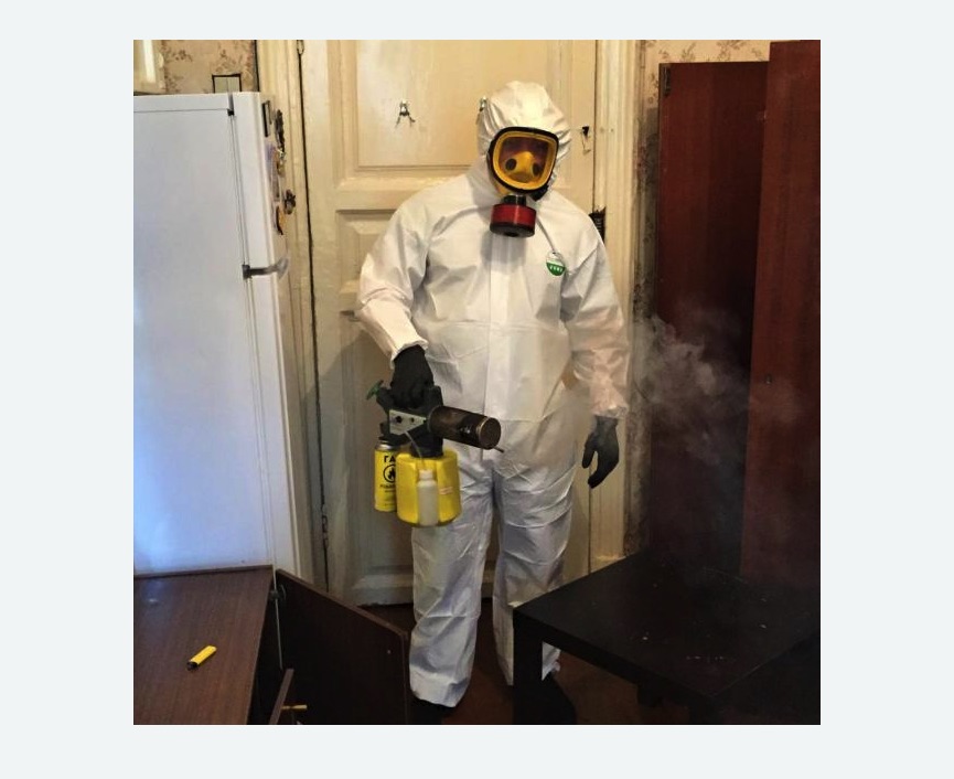 уничтожение муравьев в квартире в Чайковском